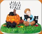 Black Kittens For Sale Village